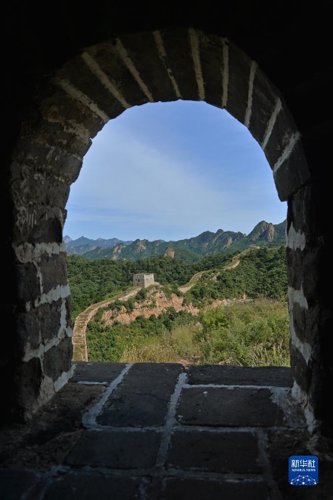 免费送彩金的游戏平台